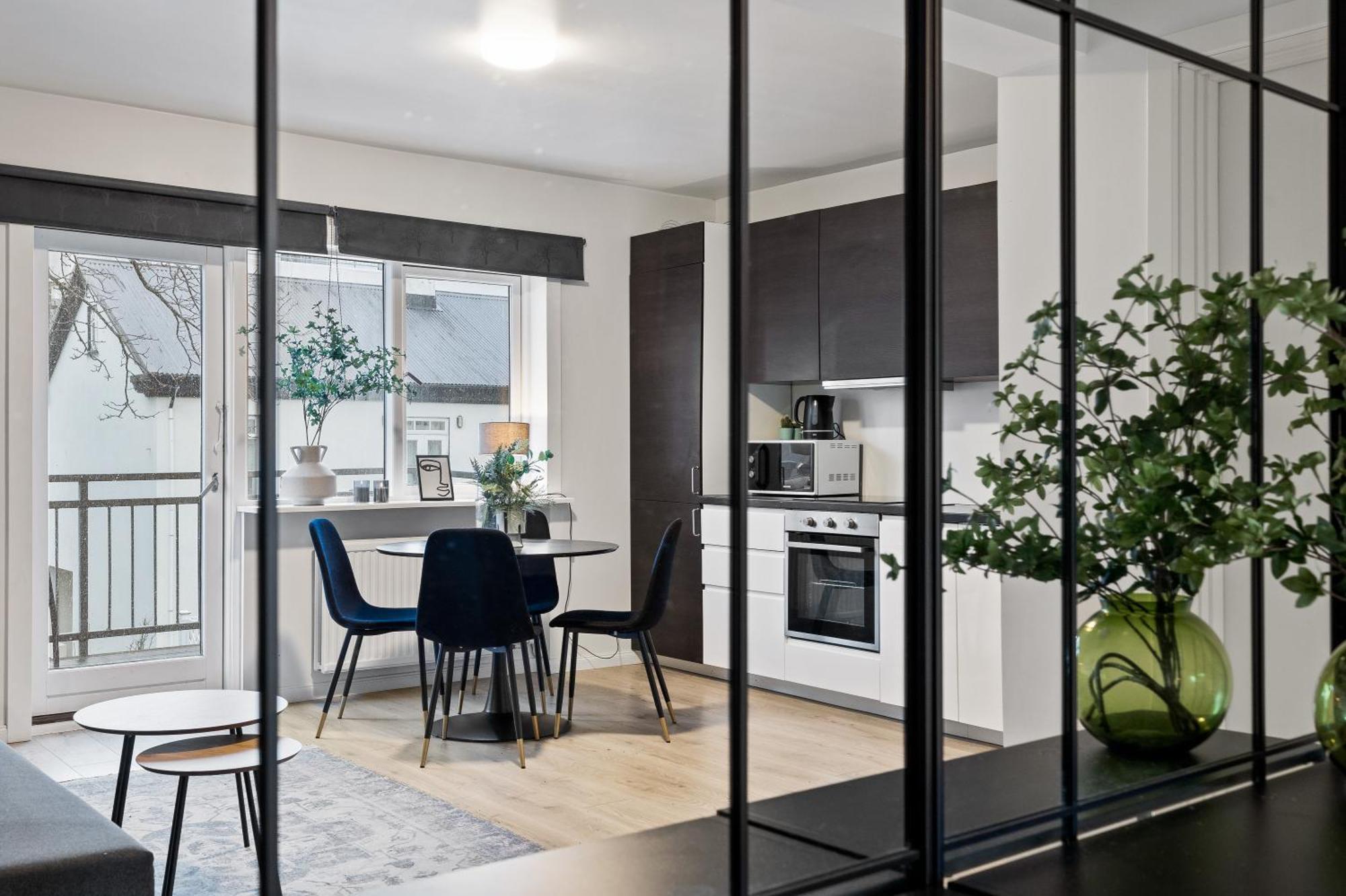 Cozy And Central Apartment Рейкьявик Экстерьер фото