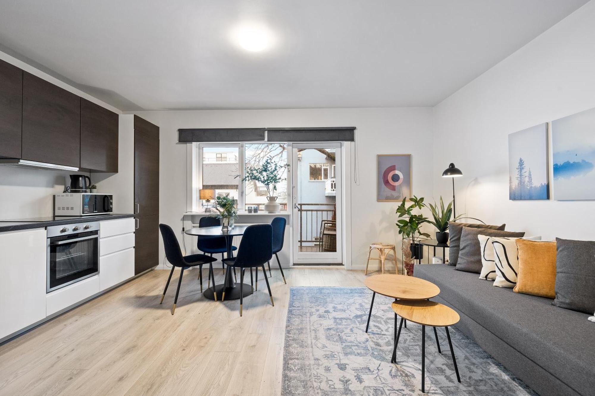 Cozy And Central Apartment Рейкьявик Экстерьер фото